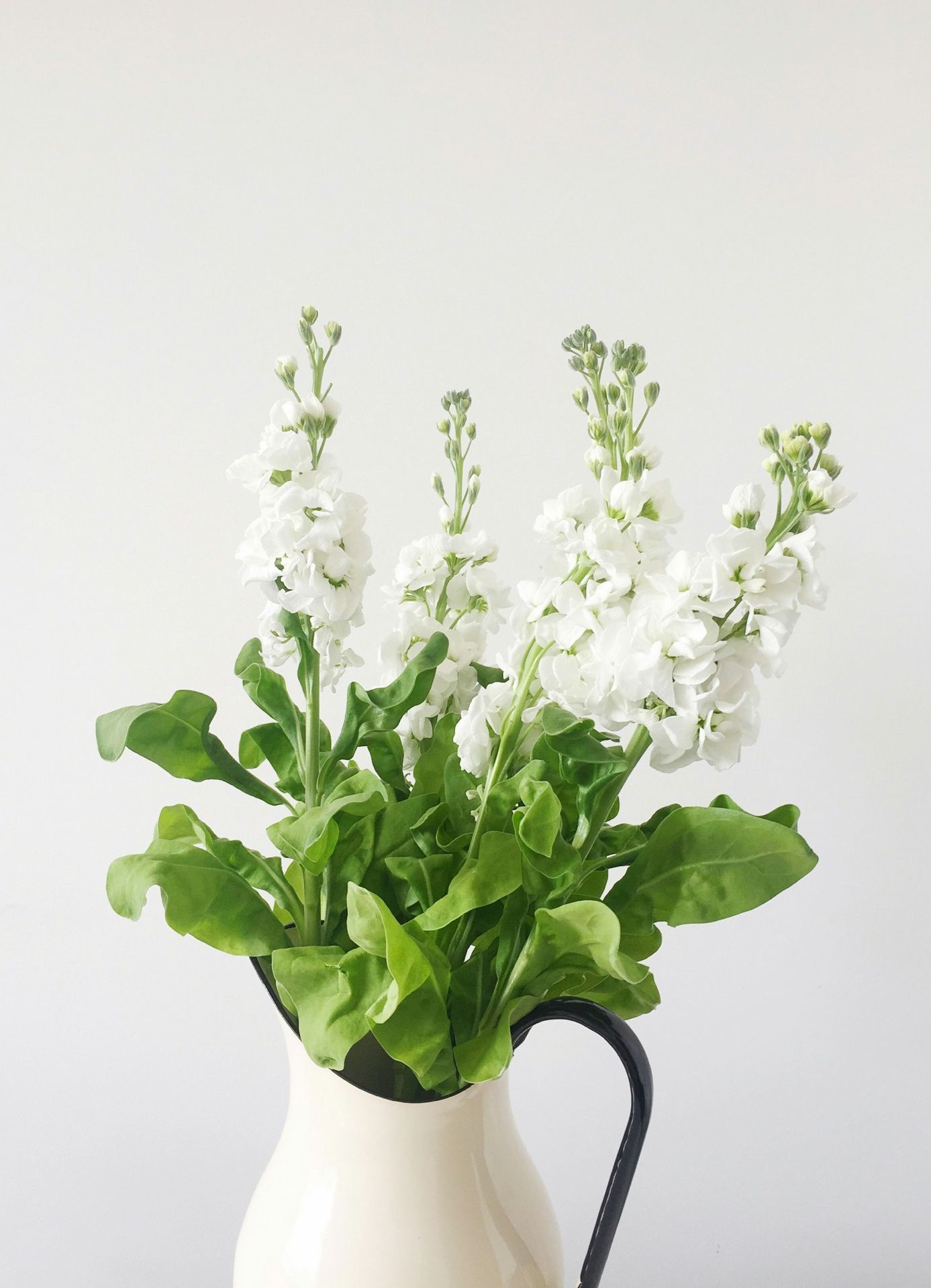 white petaled flower in white vase